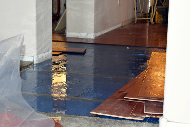Professional Crawl Space Water Removal technician working in Argyle, MI